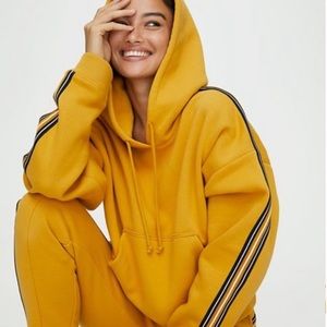 Aritzia TNA Iconic Hoodie